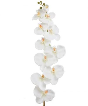 Decostar Phalaenopsis Orchid Natural Touch Spray Stem 50" - 12 Pieces - White